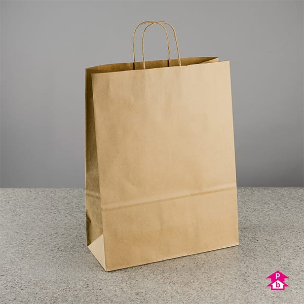 Large Brown Paper Bags
